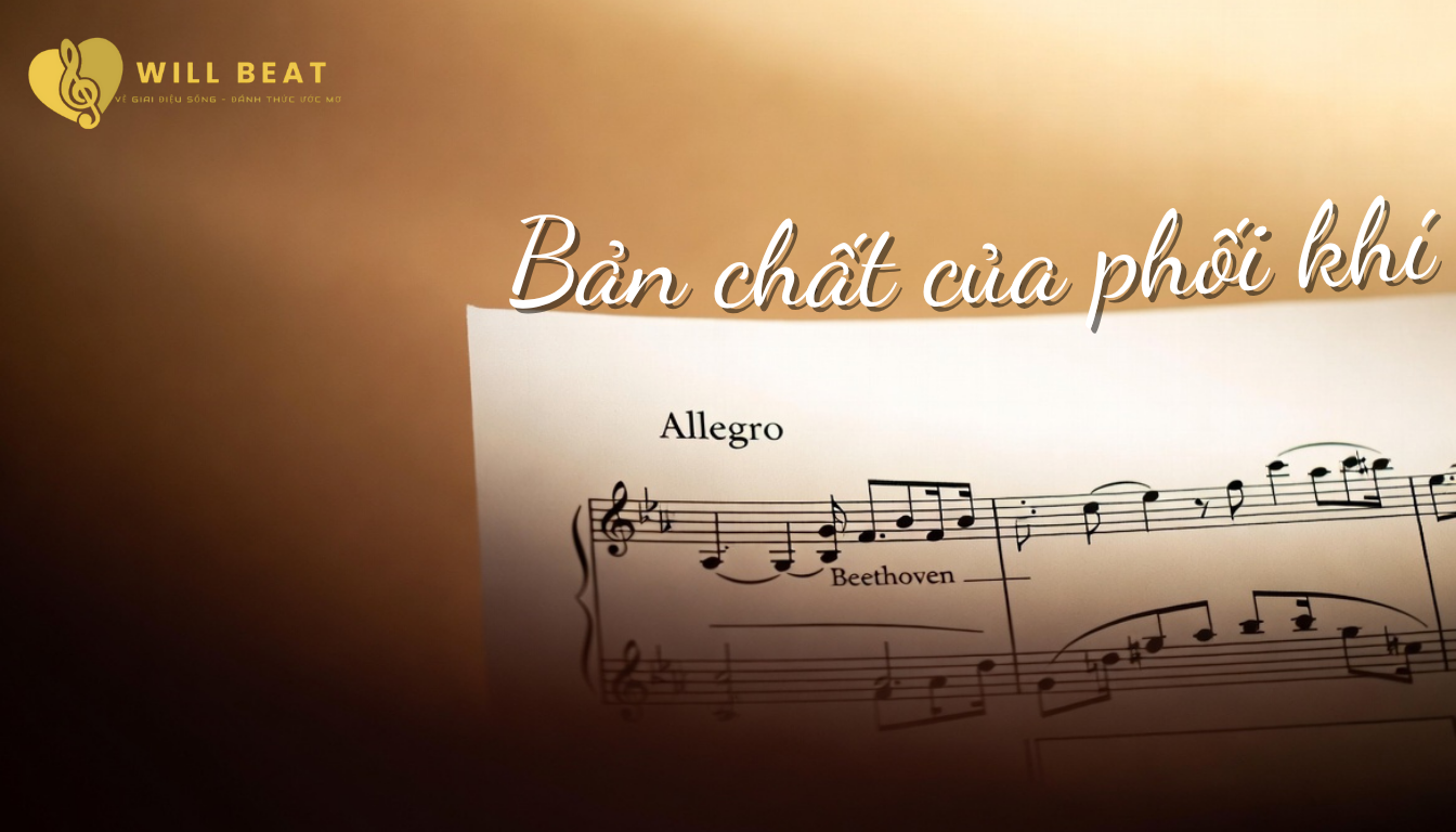 Không biết nhạc lý có phối khí được không? Giải đáp cho người mới